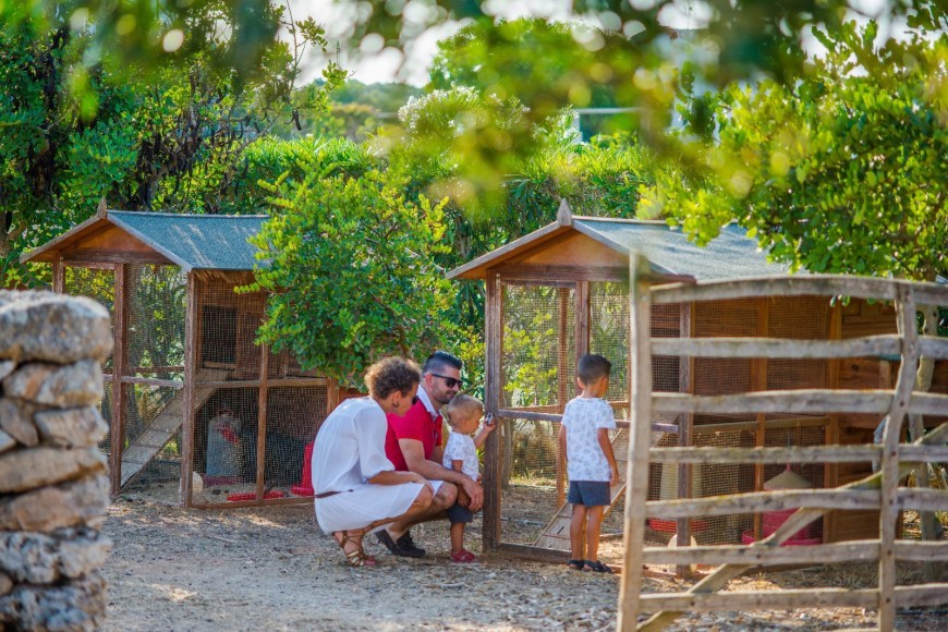 Binissaida, a sustainable hotel with its own poultry and vegetable garden